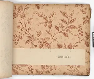 Page from New Artistic Wall Papers