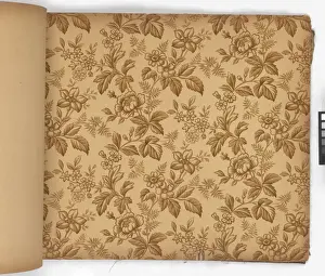 Page from New Artistic Wall Papers
