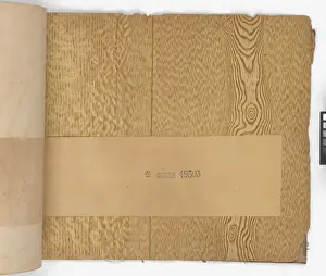 Page from New Artistic Wall Papers