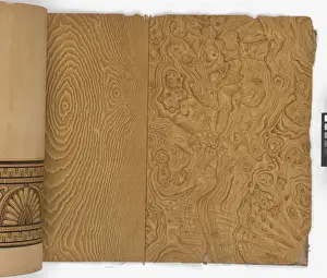 Page from New Artistic Wall Papers