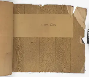 Page from New Artistic Wall Papers