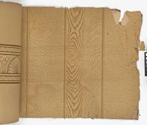 Page from New Artistic Wall Papers