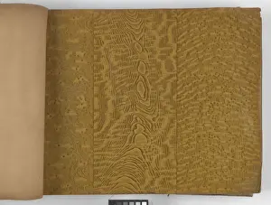Page from New Artistic Wall Papers
