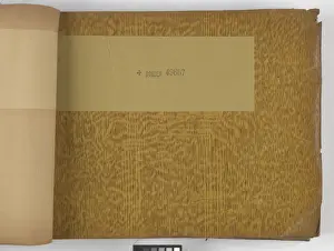 Page from New Artistic Wall Papers