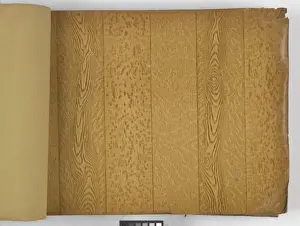 Page from New Artistic Wall Papers
