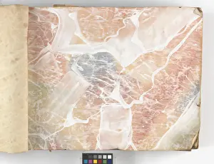 Page from New Artistic Wall Papers