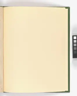 Page from Special New Designs of Brass and Iron Fenders, Fi