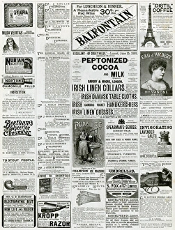 Camomile Collection: Page of Victorian adverts 1889