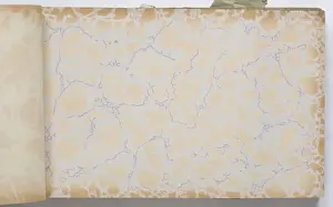 Page from a wallpaper sample book