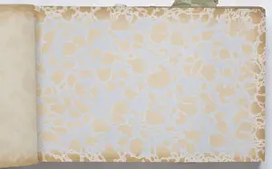 Page from a wallpaper sample book