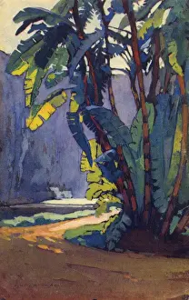 Vibrant Prints: Painting, Jardin d Essai du Hamma, Algiers, Algeria