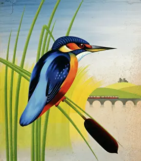 Pointed Prints: Painting of a kingfisher
