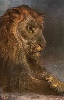 Mane Prints: Painting by Paul Meyerheim of a fine lion
