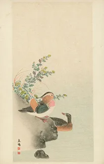 Pupil Prints: A pair of Mandarin Ducks by Oku Bunmei