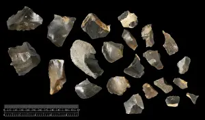 Pakefield flint tools