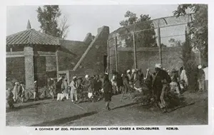 Cages Prints: Pakistan - Peshawar Zoo