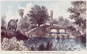 Gard Prints: Cry Pal Geological Gard