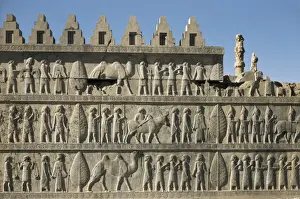 Palace of Darius I. Apadana or Audience Hall