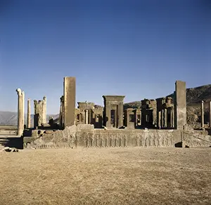 Apadana Prints: Palace of Darius I. Apadana or Audience Hall