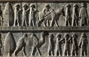 Stair Case Prints: Palace of Darius, Persepolis