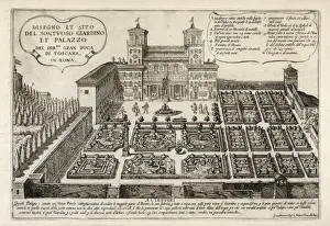 Par Terre Prints: Palace of G-Duke Tuscana