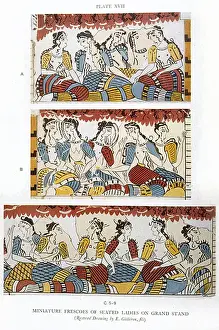 Minos Prints: Palace Minos Crt Ladies