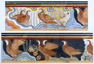 Oriole Prints: Palace Minos Partridge