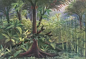 Paleolithic Prints: Palaeolithic L scape