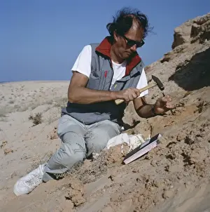 Palaeontologist Prints: Palaeontologist at work