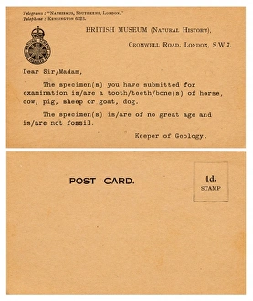 Palaeontology Response Card Palaeontology Response Card