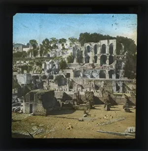 Palatine Gallery: The Palatine Hill in Rome, Italy