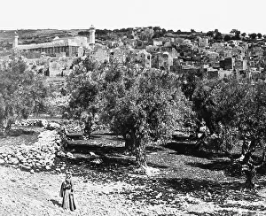 Pre 1900 Prints: Palestine Hebron pre-1900