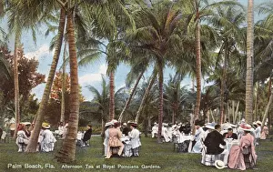 Palm Beach, Florida - Afternoon Tea