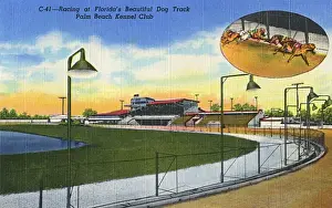 Miami Prints: Palm Beach Kennel Club, Miami, Florida, USA