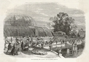 Kew Gardens Palm House