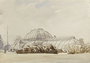 Kew Gardens Palm House