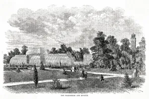 The palm house and museum at Kew Date: 1862