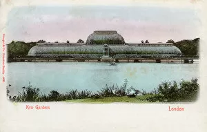 Pond Collection: The Palm House and Parterre - Kew Gardens, London