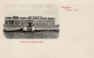 Images Dated 6th June 2017: Palm Tree House Hotel, Mogador (Essaouira), Morocco