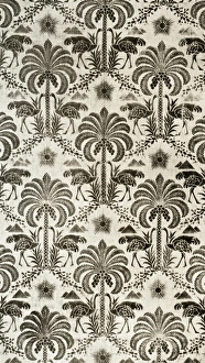 Images Dated 31st August 2012: Palm tree and ostrich pattern