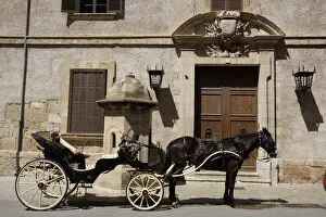 Mallorcan Collection: Palma, Mallorca - Horse Carriage at Almudiana Palace