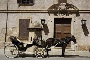 Mallorcan Prints: Palma, Mallorca - Horse Carriage at Almudiana Palace