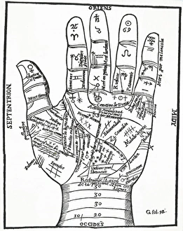Palmistry - Belot Palmistry - Belot