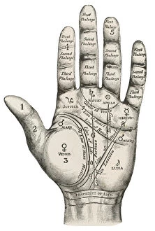 1890 Gallery: Palmistry map of the hand