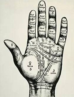 Myths Collection: Palmistry. Planetary and zodiacal diagram of the