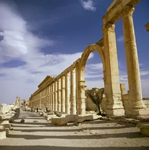 Kanus Collection: Palmyra, Syria - The Colonnade