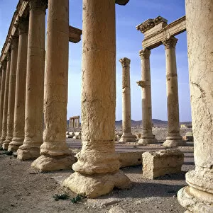 Hubertus Collection: Palmyra, Syria - The Colonnade (close-up)
