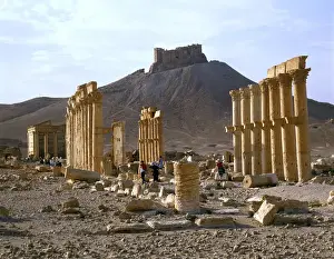 Palmyra, Syria - The Colonnade with view of Arab Castle
