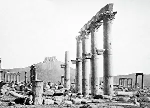 Palmyra Temple site, Syria, Victorian period