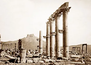 Palmyra Temple site, Syria, Victorian period